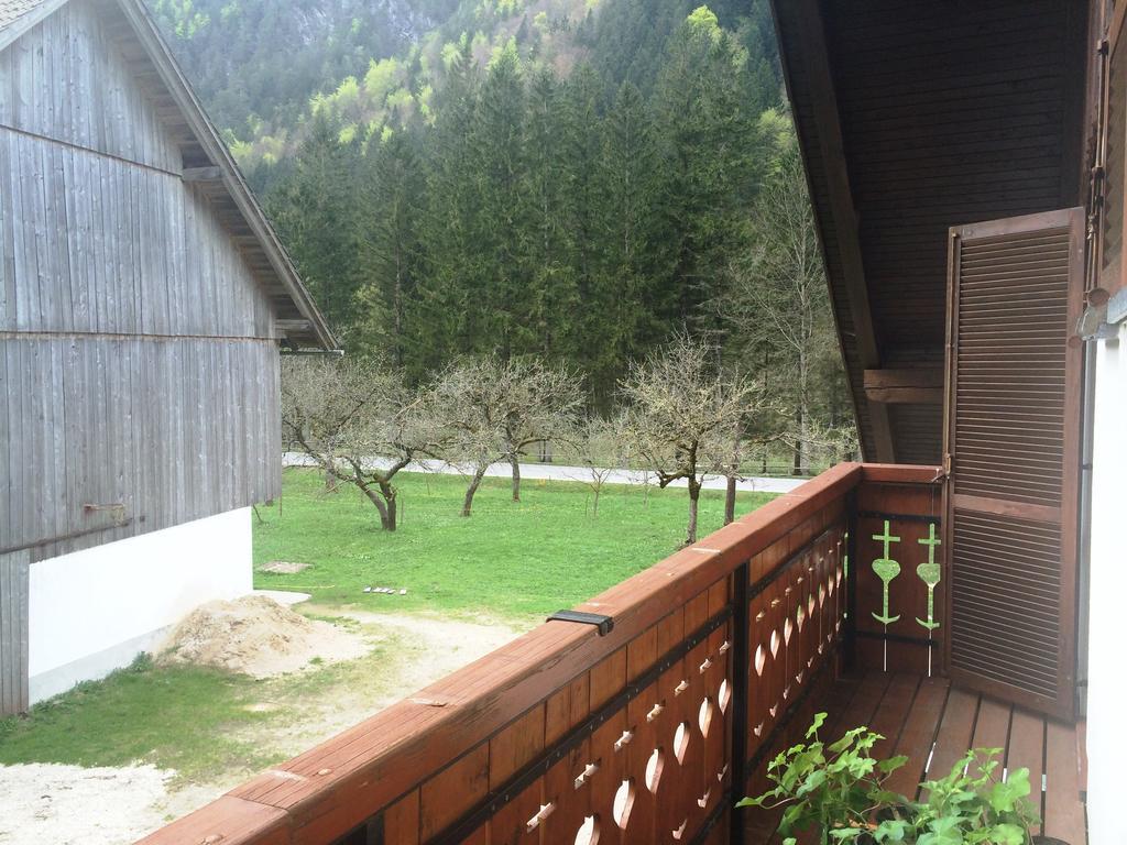 Farm Stay Juvanija 솔차바 외부 사진