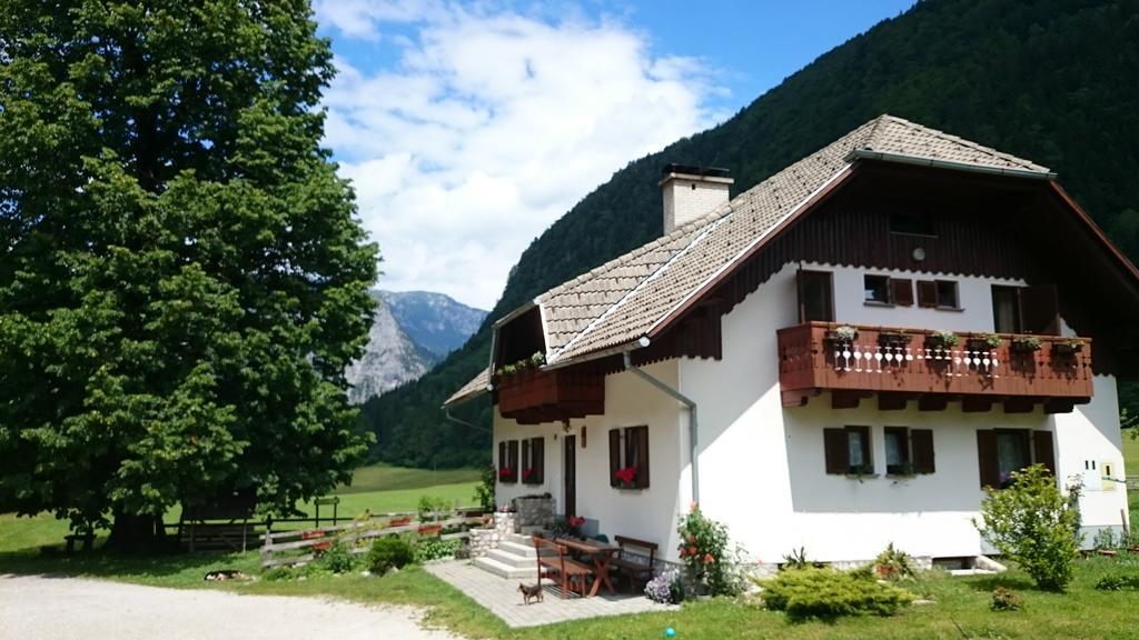 Farm Stay Juvanija 솔차바 외부 사진